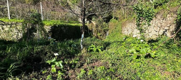 3 bedrooms Castles in Rio Caldo, Portugal No. 164961 30