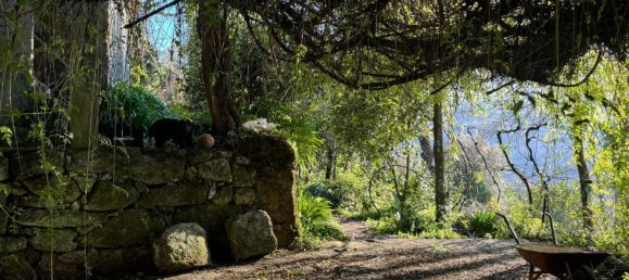 3 bedrooms Castles in Rio Caldo, Portugal No. 164961 8