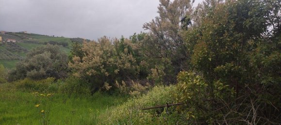 5 rooms House in Sant'Eusanio del Sangro, Italy No. 144723 6