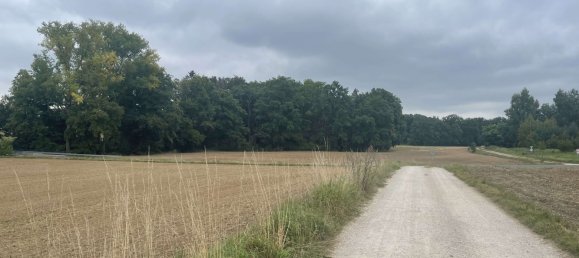 7 bedrooms Townhouse in Nurnberger Land, Germany No. 271564 13