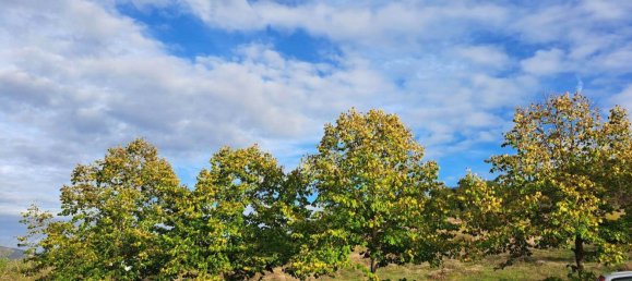 14 rooms House in Magione, Italy No. 126535 17