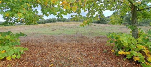 14 rooms House in Magione, Italy No. 126535 46