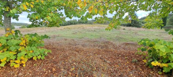 14 rooms House in Magione, Italy No. 126535 47