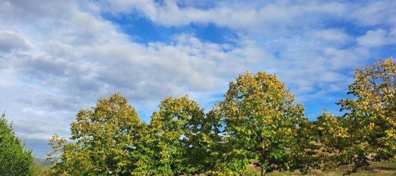 14 rooms House in Magione, Italy No. 126535 15