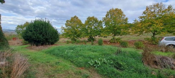 14 rooms House in Magione, Italy No. 126535 35