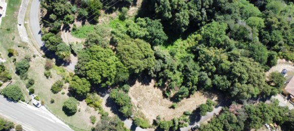  Land in Cervione, France No. 60400 2