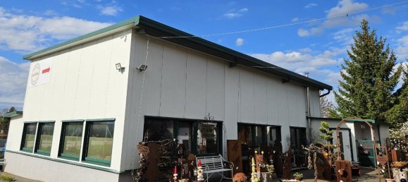  عقار تجاري في Grossdietmanns, Austria 171متر مربع رقم 133961 41