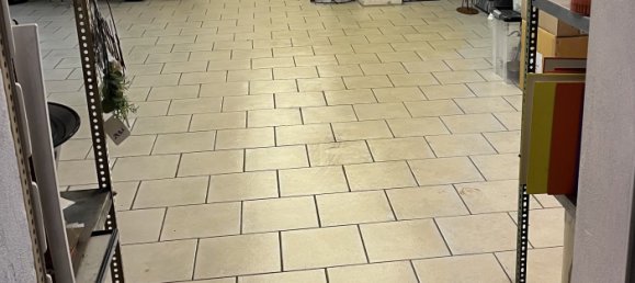  عقار تجاري في Grossdietmanns, Austria 171متر مربع رقم 133961 44