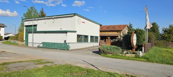  عقار تجاري في Grossdietmanns, Austria 171متر مربع رقم 133961 45