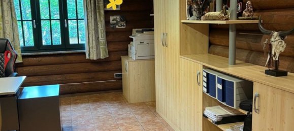  عقار تجاري في Grossdietmanns, Austria 171متر مربع رقم 133961 14