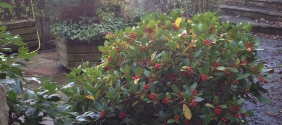 4 rooms House in Asolo, Italy No. 188841 14