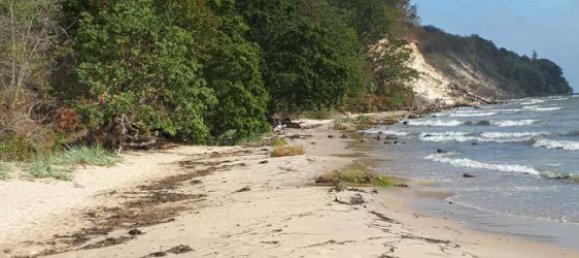 Земельный участок 12586м² в Передняя Померания-Рюген, Германия № 147604 4