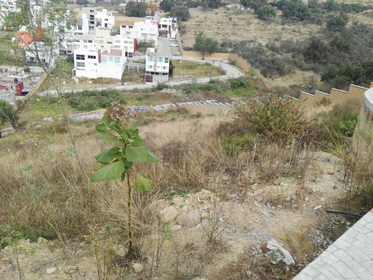  قطعة أرض في Ciudad Lopez Mateos, Mexico رقم 203870