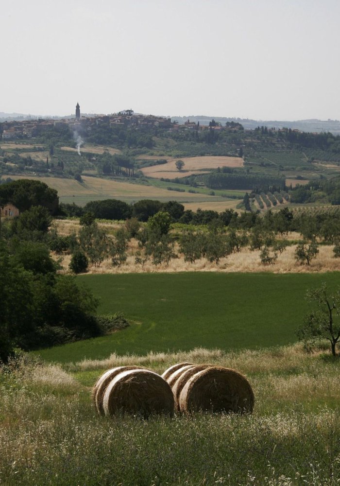 5 غرف نوم شقة في Peccioli, Italy رقم 376686