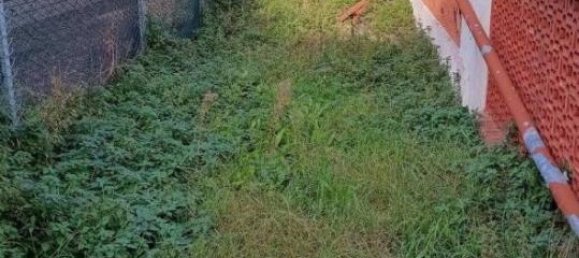 12غرفة فيلا في Fano, Italy رقم 157864 42