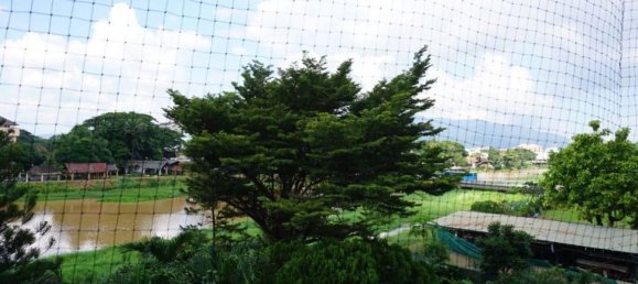 2 bedrooms Condo in Chiang Mai, Thailand No. 19394 17