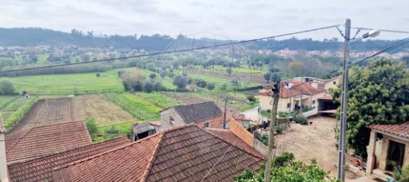 6 Schlafzimmer Haus in Mortagua, Portugal, Nr. 19076 5