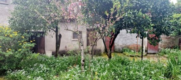 6 Schlafzimmer Haus in Mortagua, Portugal, Nr. 19076 7