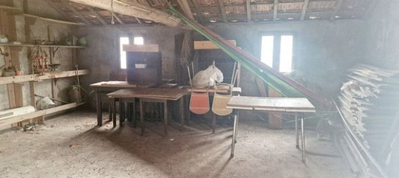 6 Schlafzimmer Haus in Mortagua, Portugal, Nr. 19076 22