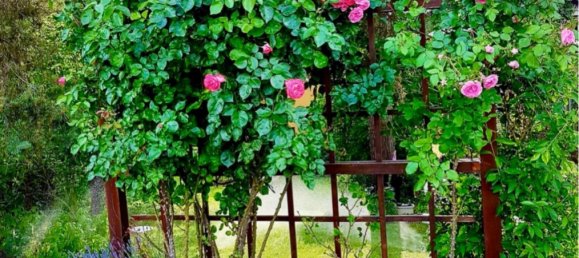 1 Schlafzimmer Grundstück in Uckermark, Germany, Nr. 278640 11