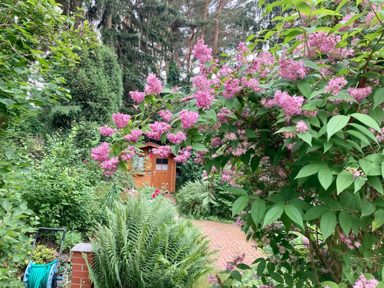 1 Schlafzimmer Grundstück in Uckermark, Germany, Nr. 278640