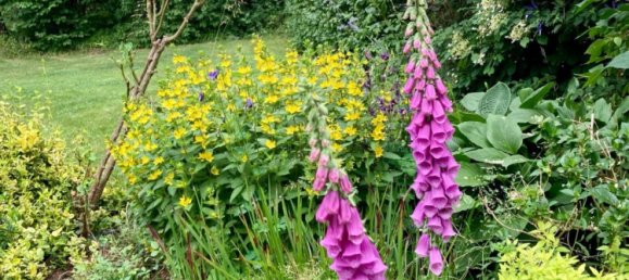 1 Schlafzimmer Grundstück in Uckermark, Germany, Nr. 278640 12