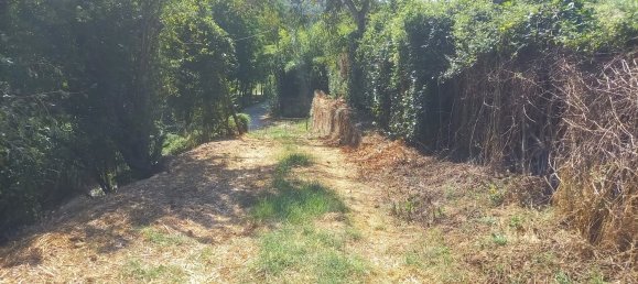 Land in Riano, Italy No. 377529 21