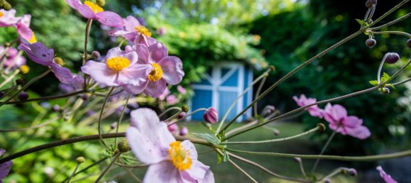 3 chambres Maison de ville à Monchengladbach, Germany No. 297380 11