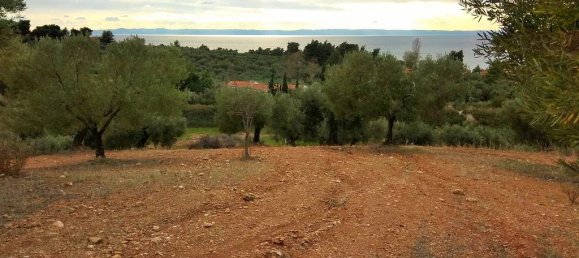  فندق في Chalkidiki, Greece 6460متر مربع رقم 5937 5