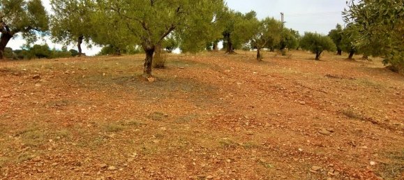 6460m² Hotel in Chalkidiki, Greece No. 5937 4