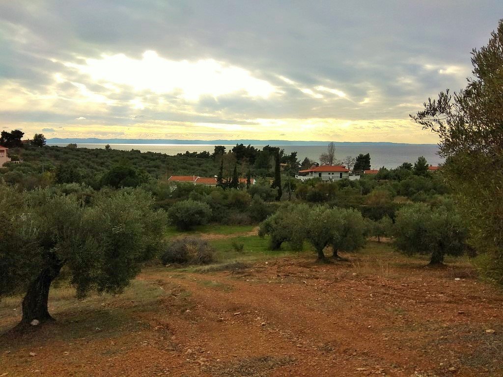  فندق في Chalkidiki, Greece 6460متر مربع رقم 5937