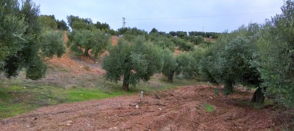 6460m² Hotel in Chalkidiki, Greece No. 5937 2