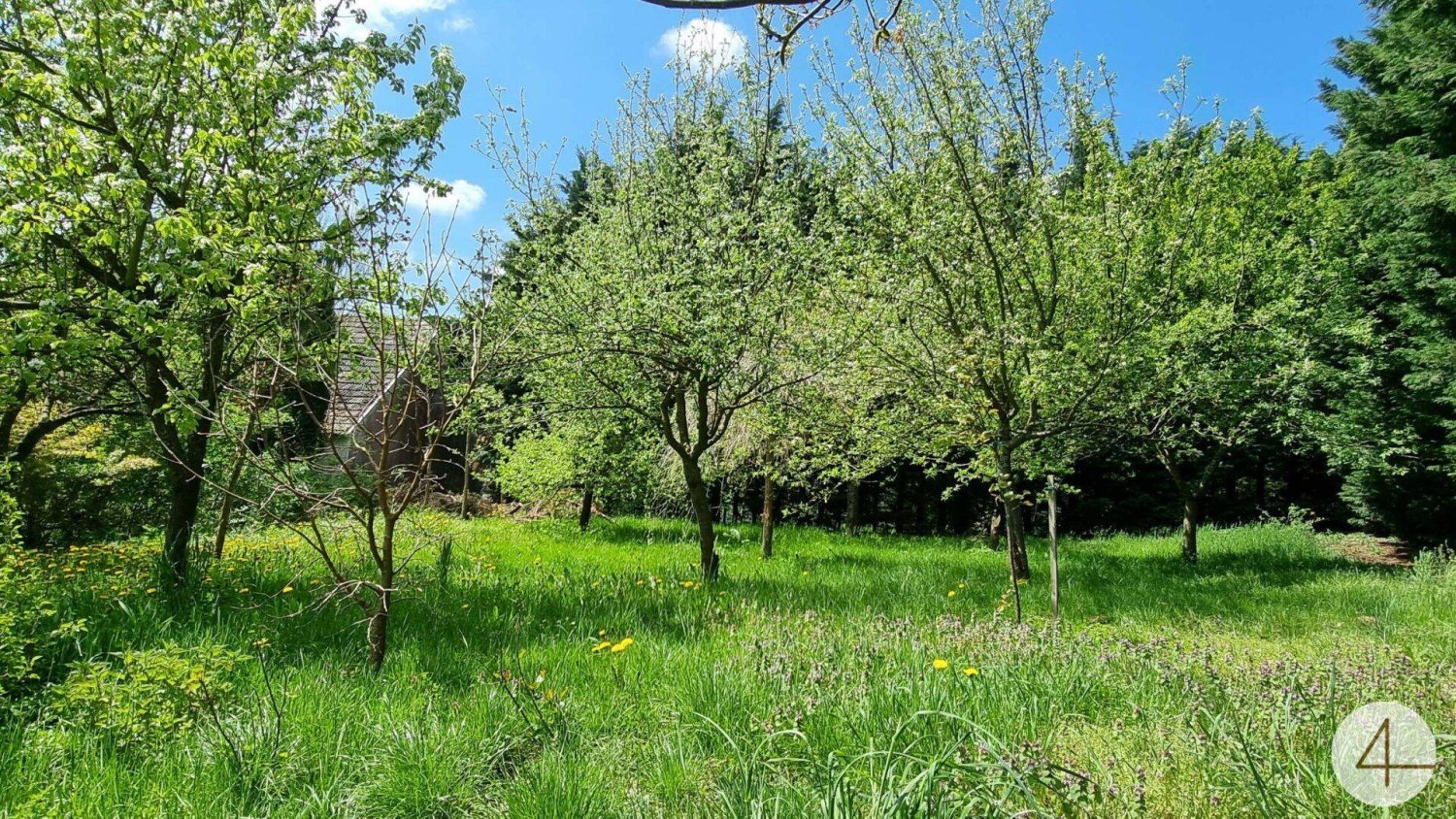 Casa de 3 divisões em Karlstein an der Thaya, Austria N.º 171313