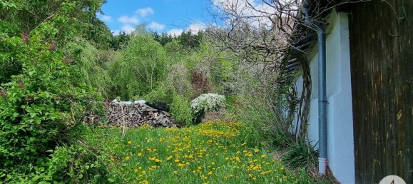 Casa de 3 divisões em Karlstein an der Thaya, Austria N.º 171313 29