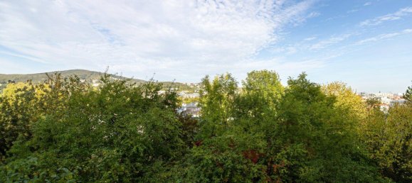 5-salle Appartement à Hietzing, Austria No. 65356 2