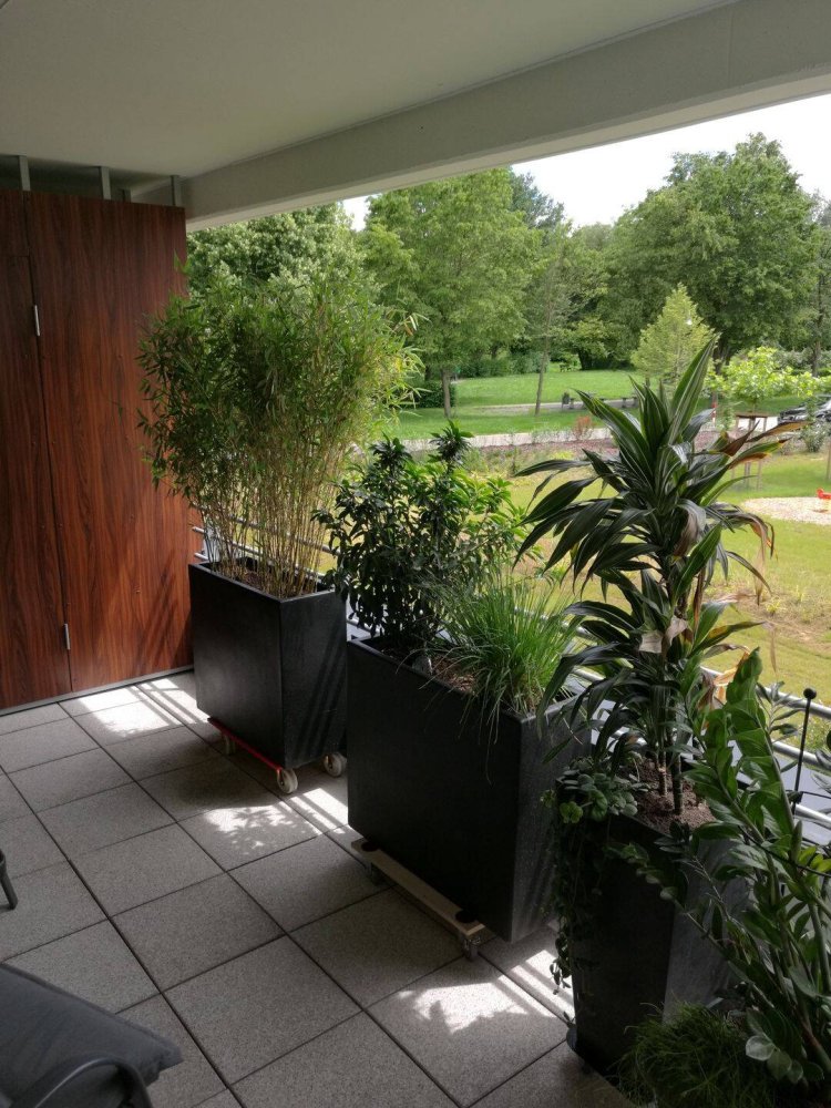 3 rooms Apartment in Ludwigsburg, Germany No. 330652