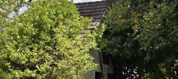 Grundstück in Altenkirchen, Germany, Nr. 322537 3