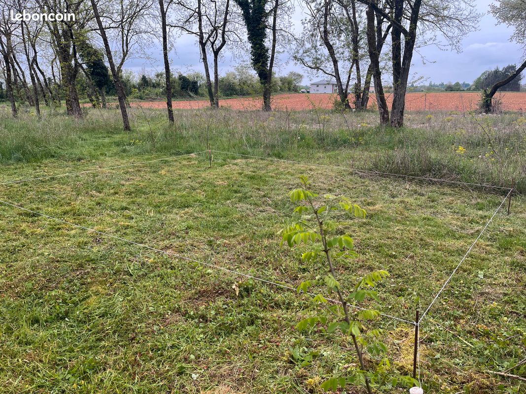 Grundstück in Chazey-sur-Ain, France, Nr. 343785