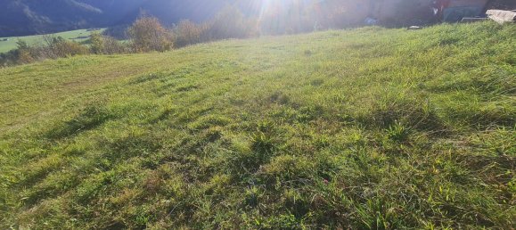 Terrain à Neukirchen am Grossvenediger, Austria 786m² No. 67323 4