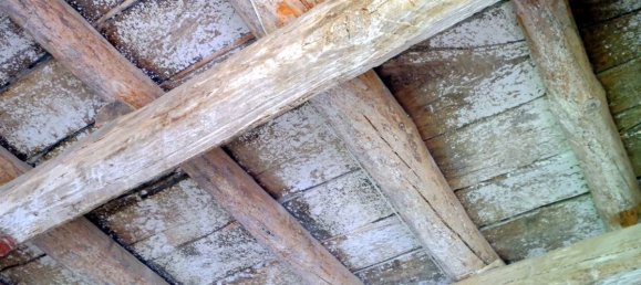 Casa de 7 habitaciónes en Celle Ligure, Italy No. 76155 37