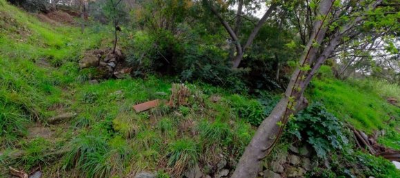 Casa de 7 habitaciónes en Celle Ligure, Italy No. 76155 18