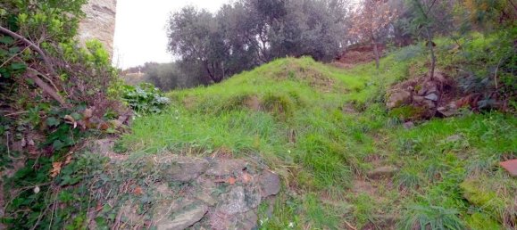 Casa de 7 habitaciónes en Celle Ligure, Italy No. 76155 17