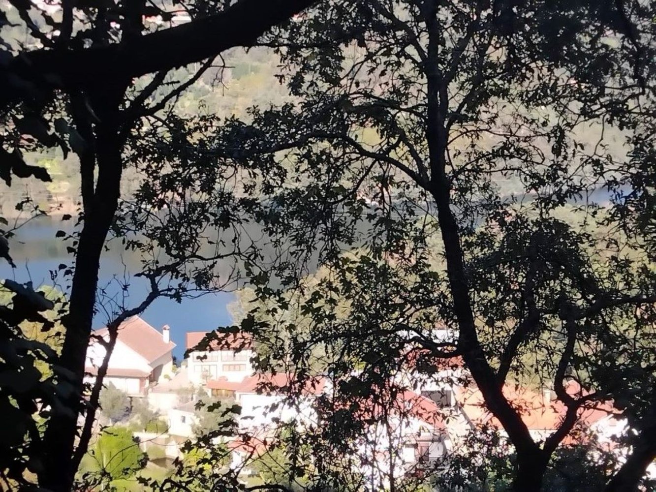  قطعة أرض في Parada de Bouro, Portugal رقم 247611