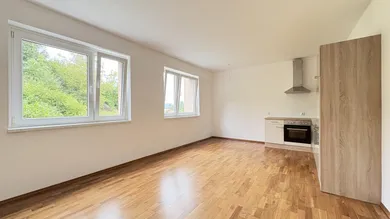 1 bedroom Apartment in Sierning, Austria No. 246023