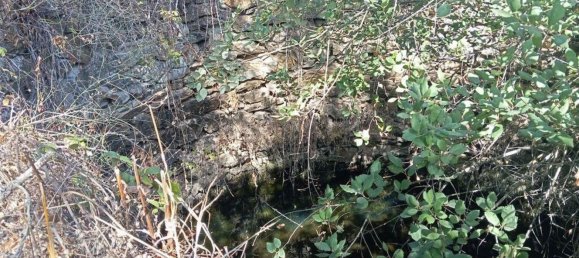 Casa de 6 dormitorios en Loule, Portugal No. 130178 11