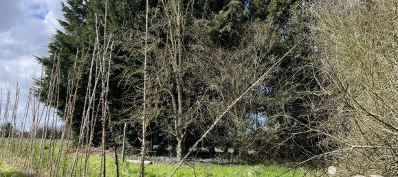 Casa de 4 divisões em Crehen, France N.º 205720 11