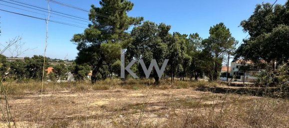 20160m² Land in Setubal, Portugal No. 145812 11