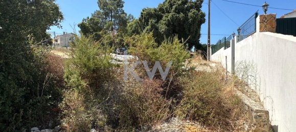 20160m² Land in Setubal, Portugal No. 145812 6