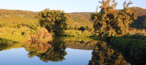 Terreno en Chiang Mai, Thailand 38400 m² No. 68360 3