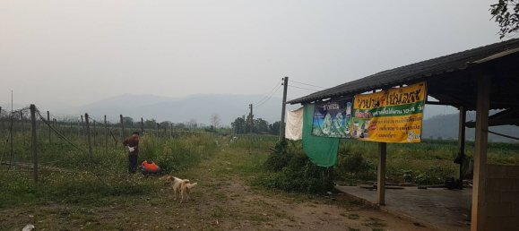 Terreno en Chiang Mai, Thailand 38400 m² No. 68360 2